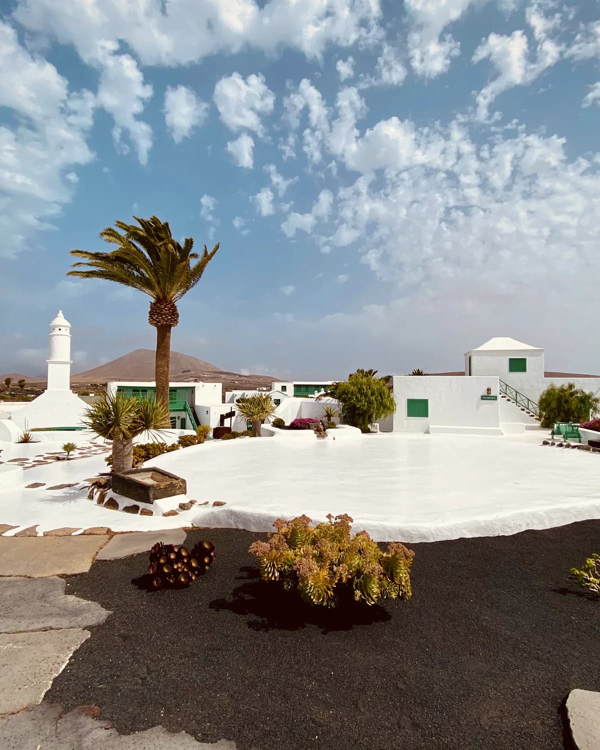 Weiße Häuser, Palme und Vulkanlandschaft auf Lanzarote als Ziel einer TUI Mein Schiff Kanaren-Kreuzfahrt