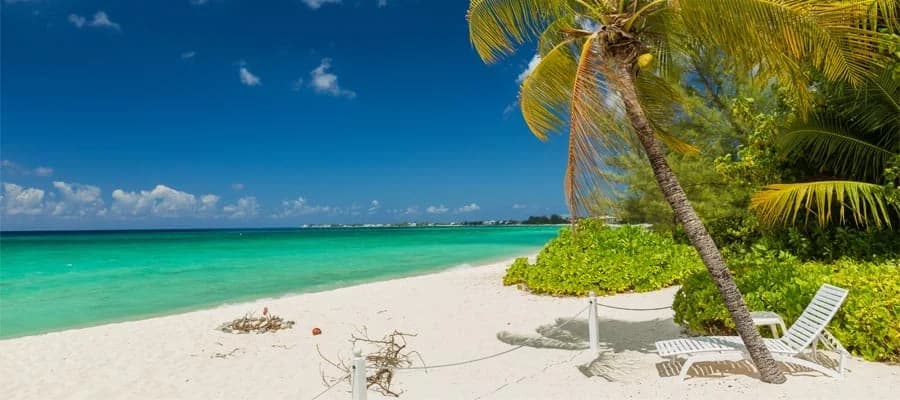 Palmenstrand mit türkisem Wasser in der Karibik