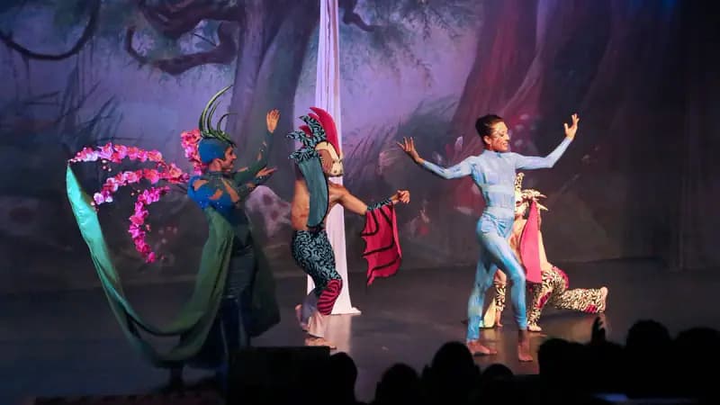 MSC armonia – Unterhaltung und Shows