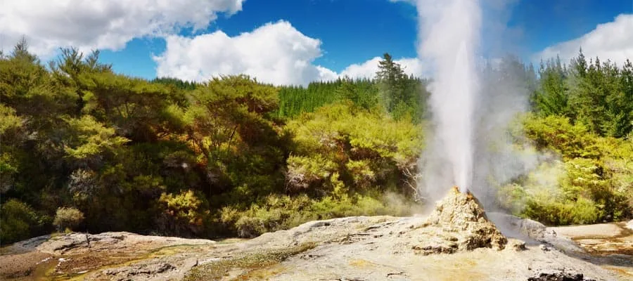 Dampfende geothermische Quelle bei Rotorua