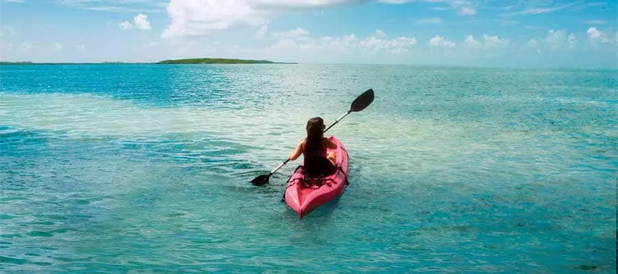 Ruhiger Strand mit Palmen und azurblauem Wasser auf Bimini