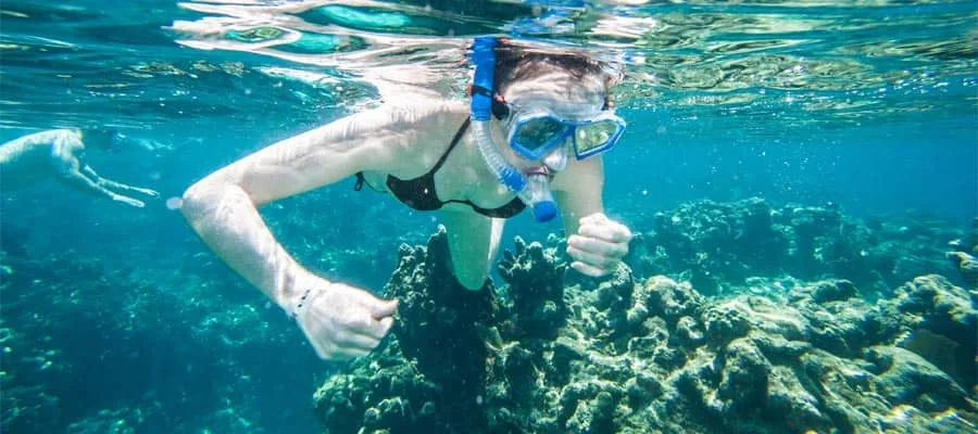 Palmengesäumte Bucht mit türkisem Wasser auf Roatán