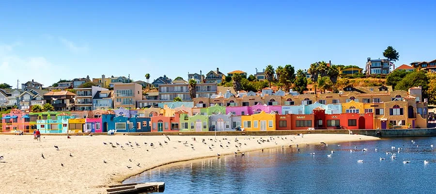 Felsküste und Zypressen an der Monterey-Bucht